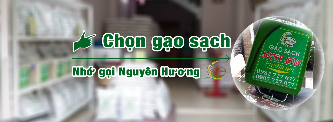 Gạo nguyên hương|Gạo xuất khẩu châu âu