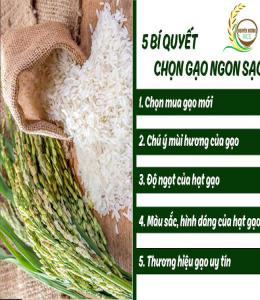 Gạo Nguyên Hương|Gạo xuất khẩu đạt tiêu chuẩn châu Âu|Giao hàng miễn phí